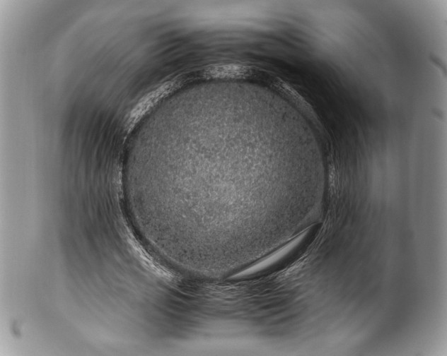 X0000100340725200806051537