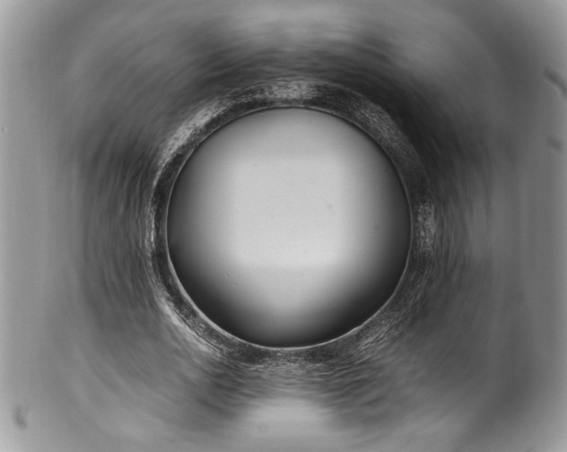 X0000100340726200806051537
