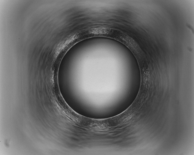 X0000100340727200806051537
