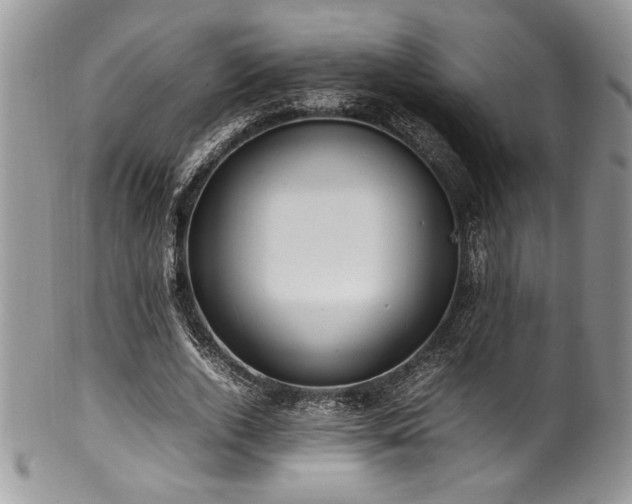 X0000100340728200806051537