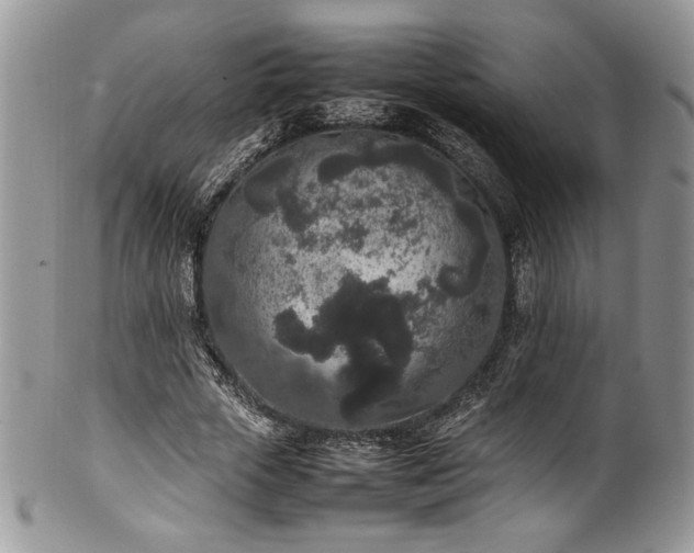 X0000100340729200806051537