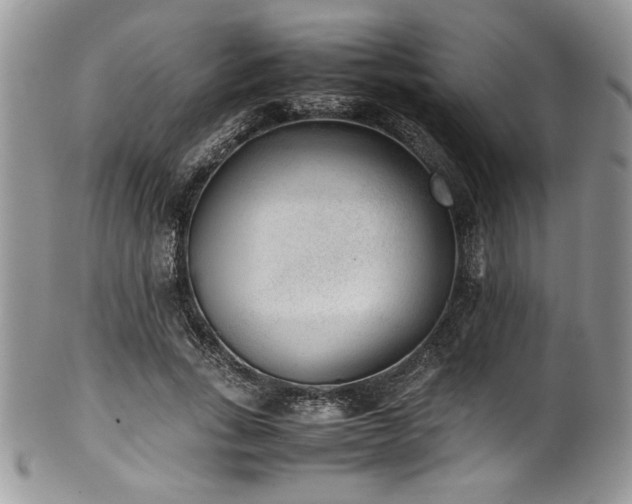 X0000100340735200806051537