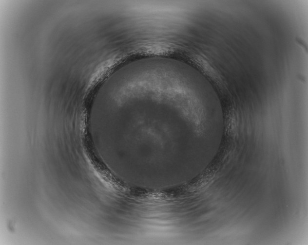 X0000100340736200806051537