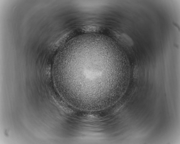 X0000100340737200806051537