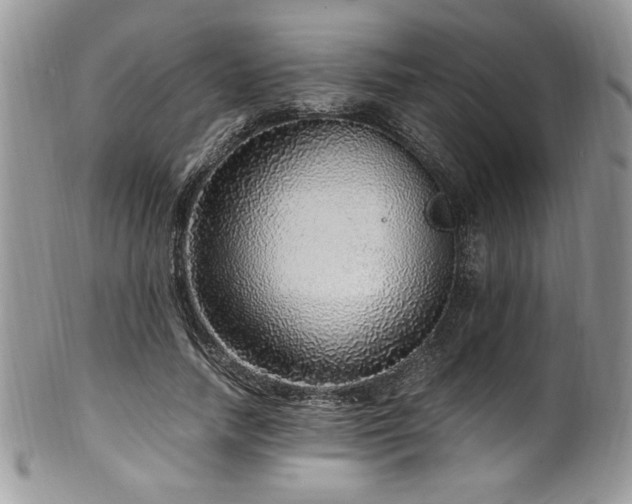 X0000100340738200806051537