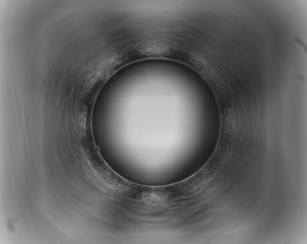 X0000100340739200806051537