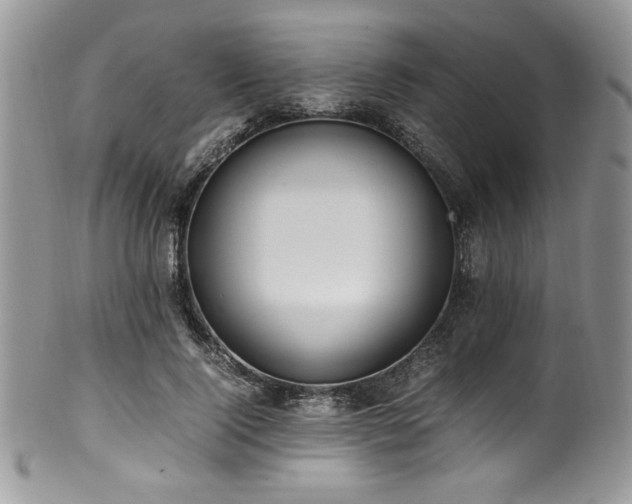 X0000100340740200806051537
