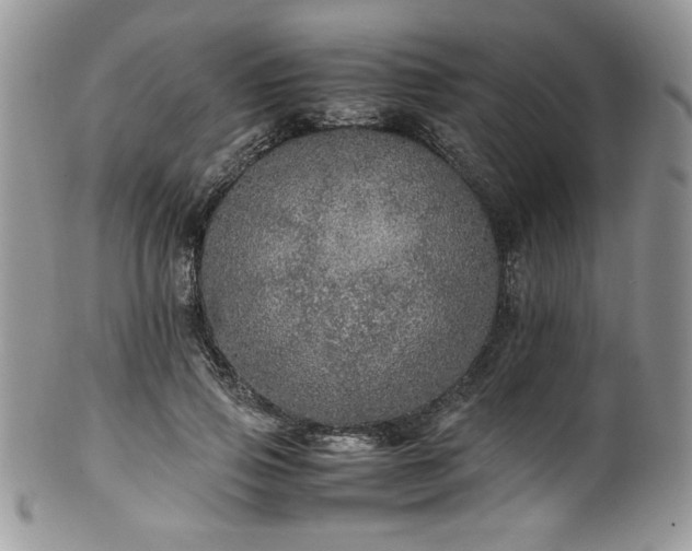 X0000100340741200806051537