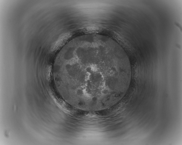 X0000100340742200806051537