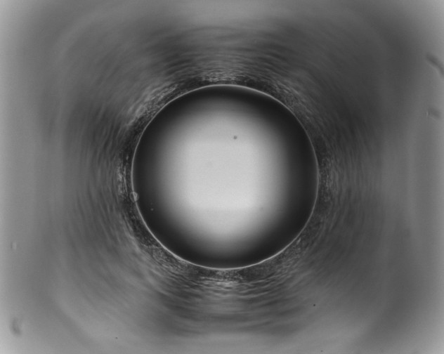 X0000100340743200806051537