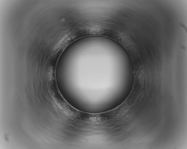 X0000100340744200806051537