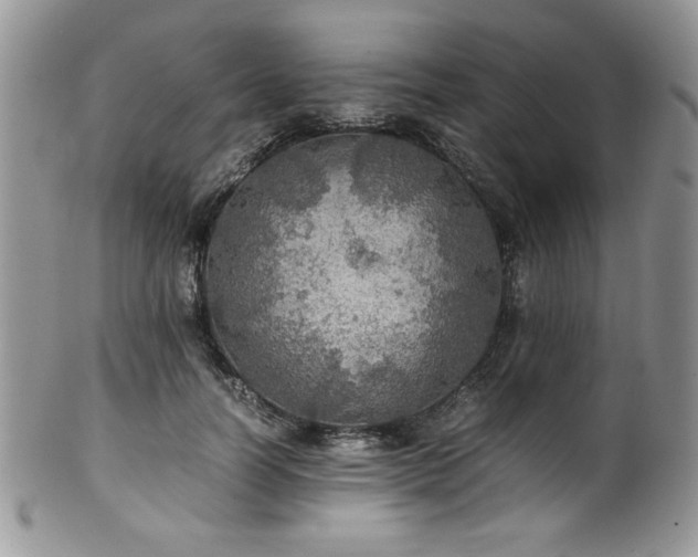 X0000100340746200806051537