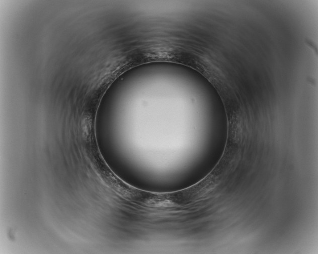 X0000100340747200806051537
