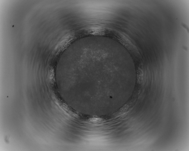 X0000100340748200806051537