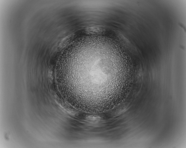 X0000100340749200806051538