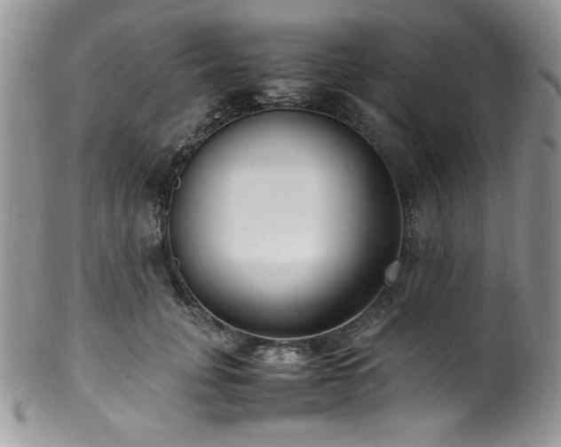 X0000100340751200806051538