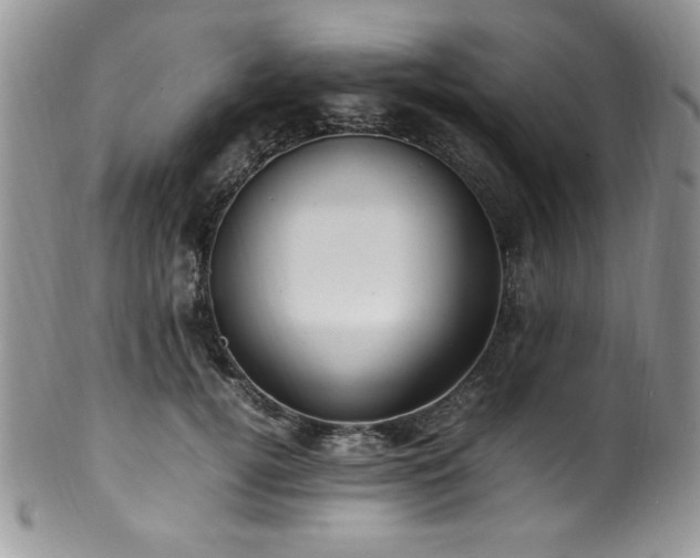 X0000100340752200806051538