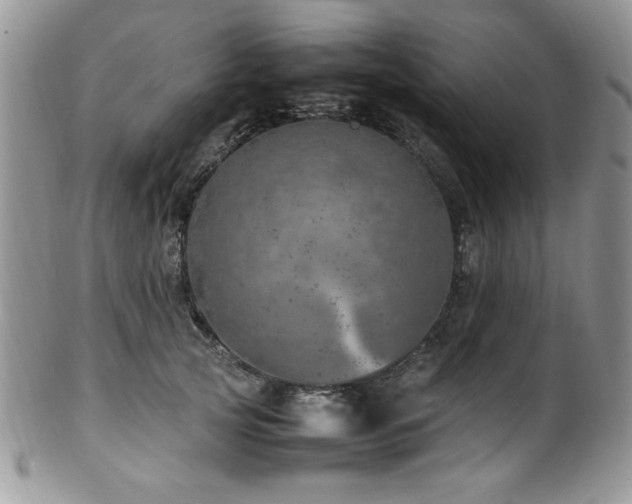 X0000100340753200806051538