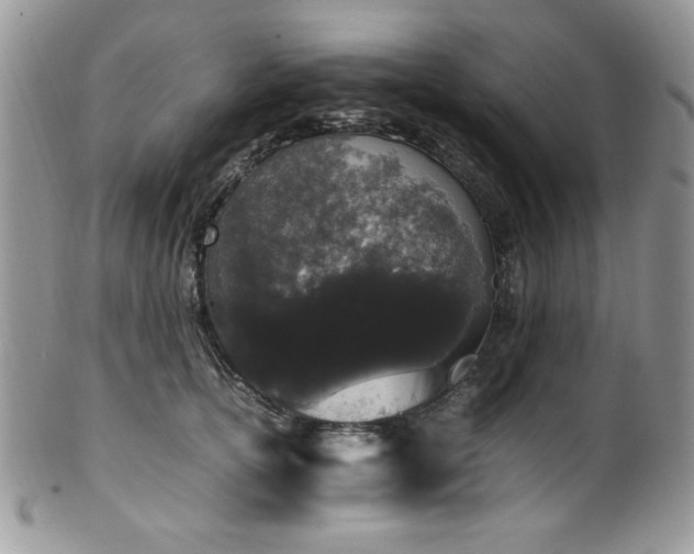 X0000100340754200806051538