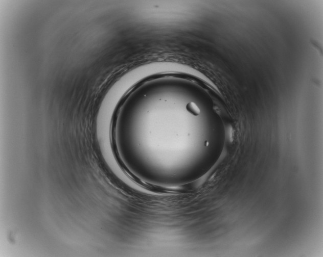 X0000100340756200806051538