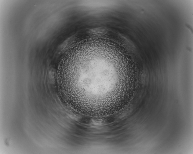 X0000100340757200806051538