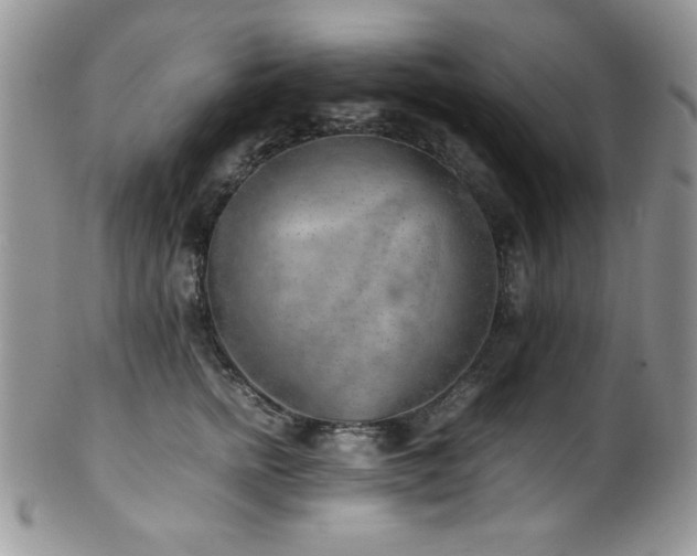 X0000100340758200806051538