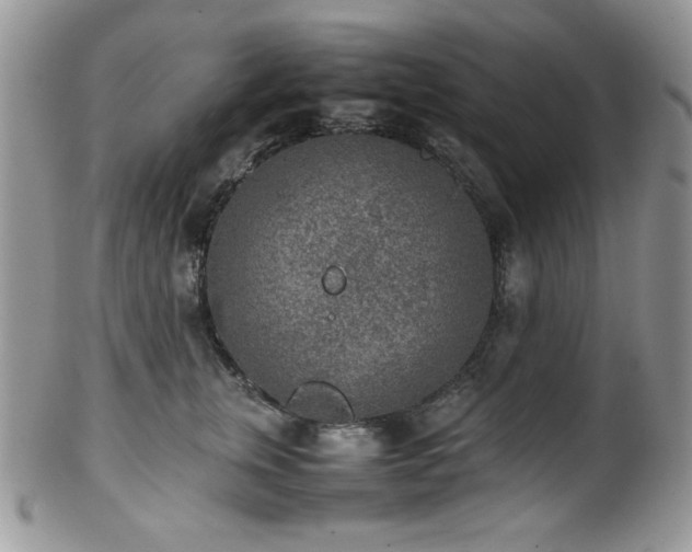 X0000100340759200806051538