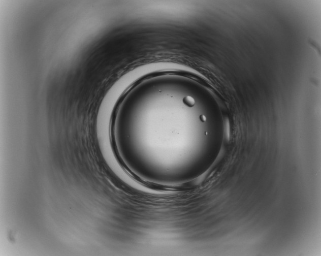 X0000100340760200806051538