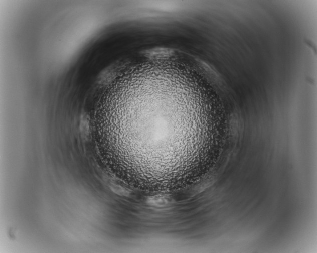 X0000100340761200806051538