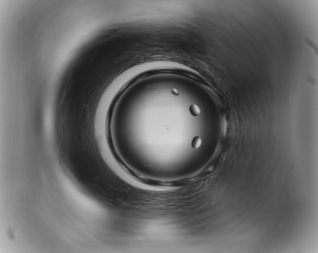 X0000100340764200806051538