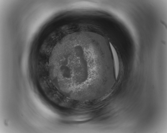 X0000100340765200806051538