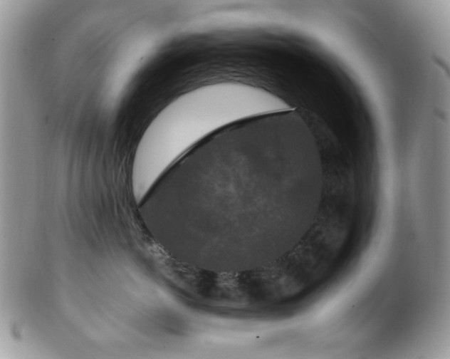 X0000100340766200806051538