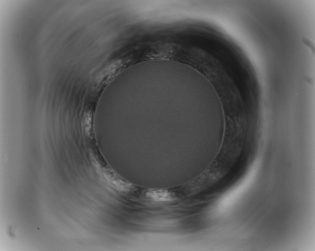 X0000100340767200806051538