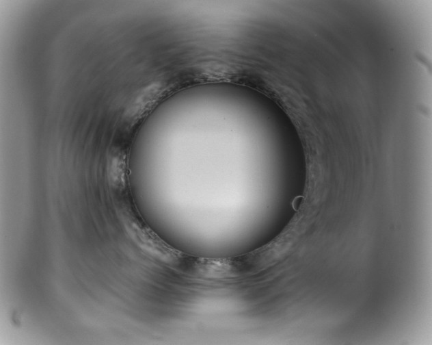 X0000100340768200806051538