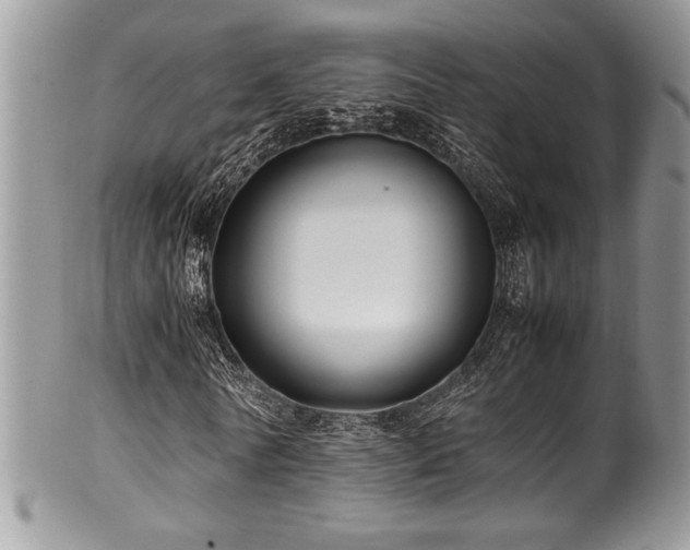 X0000100340770200806051537