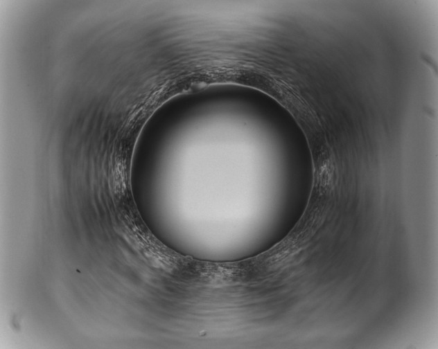 X0000100340772200806051537