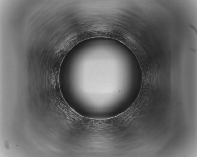 X0000100340774200806051537