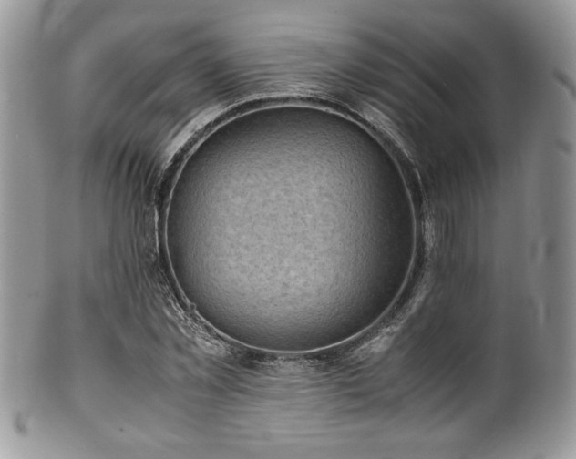 X0000100340781200806051537