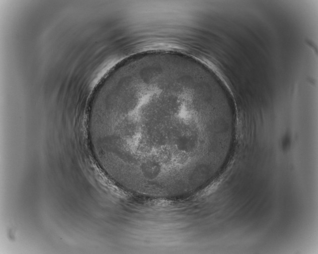 X0000100340783200806051537