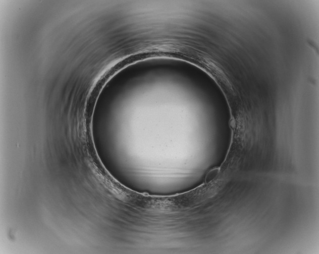 X0000100340784200806051537