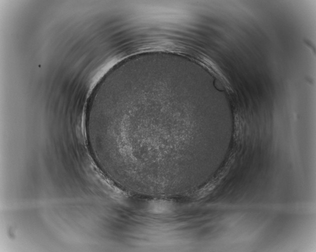 X0000100340788200806051537