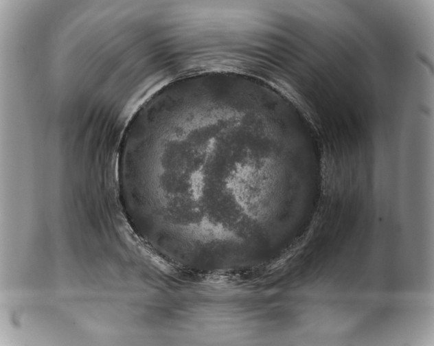X0000100340790200806051537
