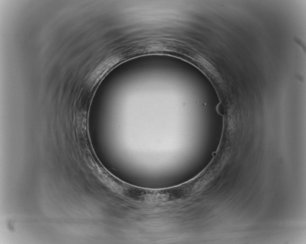 X0000100340793200806051537