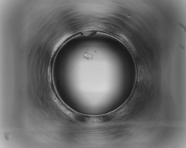 X0000100340796200806051537
