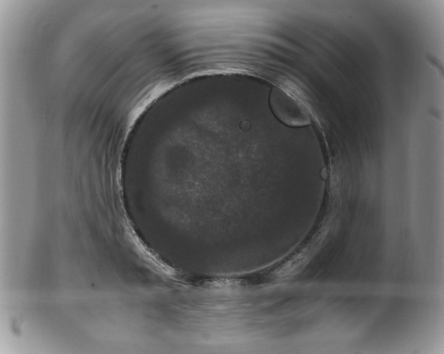 X0000100340797200806051537