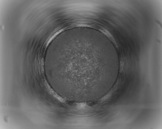 X0000100340798200806051537