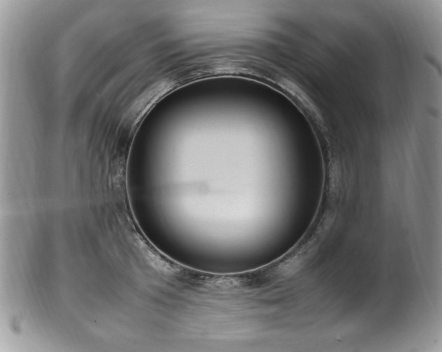 X0000100340801200806051537