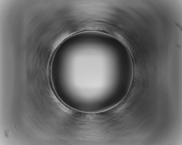 X0000100340803200806051537