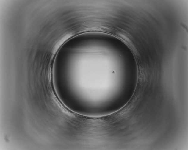 X0000100340804200806051537