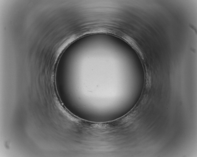 X0000100340805200806051537
